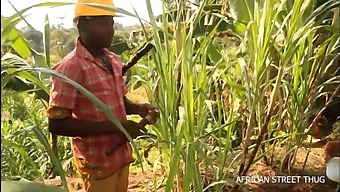 En Spännande Pov-Upplevelse Av Ett Förbjudet Möte På Landsbygden, Vilket Leder Till Ett Vågat Utomhusmöte På En Afrikansk Bygata